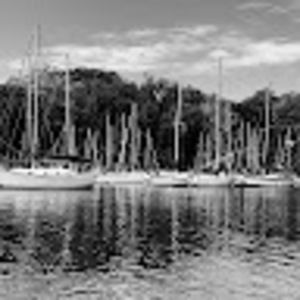 Meet your Posher, Faye